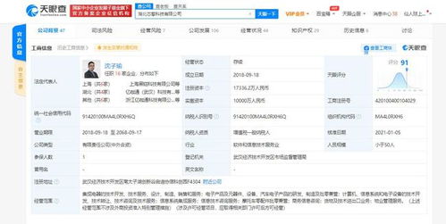 芯擎科技引領(lǐng)7nm車規(guī)級(jí)芯片創(chuàng)新，專利布局助力數(shù)據(jù)處理與存儲(chǔ)效能提升